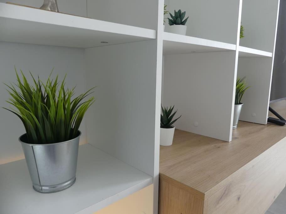19 Piso Centrico, Nuevo Y Bien Equipado En La Trinidad Apartman La Laguna  Kültér fotó