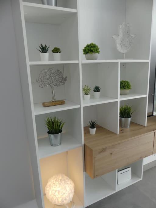 19 Piso Centrico, Nuevo Y Bien Equipado En La Trinidad Apartman La Laguna  Kültér fotó